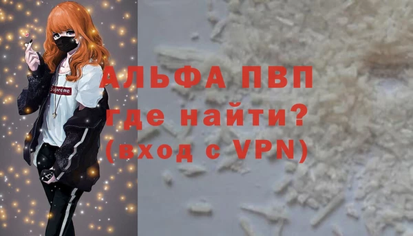 Альфа ПВП Гусев