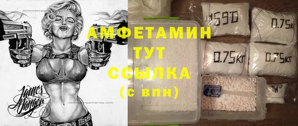 Альфа ПВП Гусев