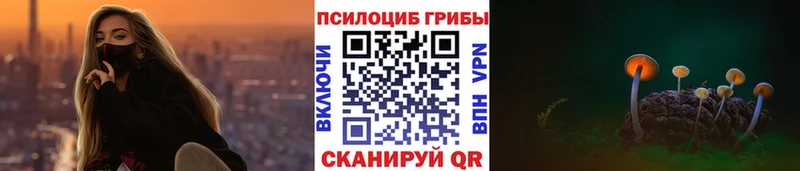 Псилоцибиновые грибы Cubensis  Ишим 