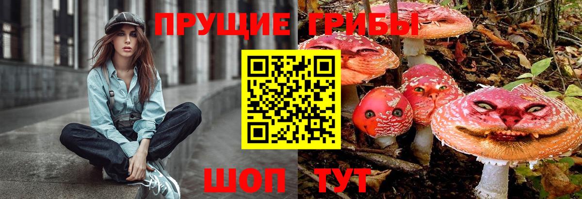 Галлюциногенные грибы Psilocybe Ишим