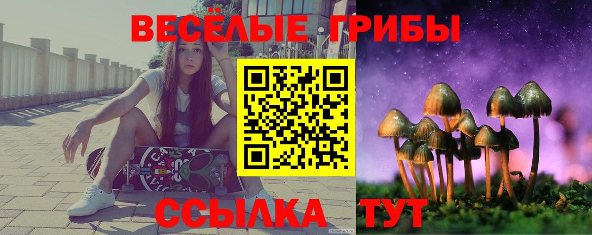 Ишим  Псилоцибиновые грибы ЛСД  Вход с VPN 