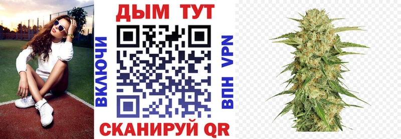 ссылка на мегу сайт Ишим Конопля сатива